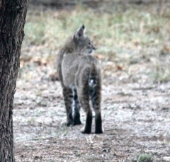 IMG_2960cropped