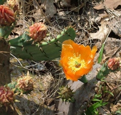 DSCF5819-22