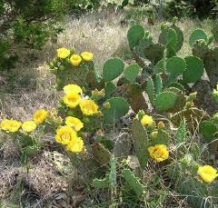 DSCF5822-23