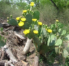 DSCF5825-24