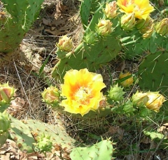 DSCF5826-25