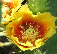 DSCF5827-26