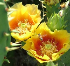 DSCF5828-27