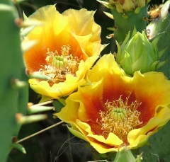DSCF5829-28