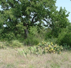 DSCF5830-29