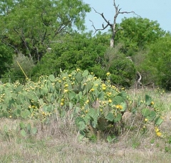 DSCF5835-30