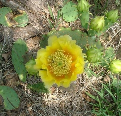 DSCF5837-31