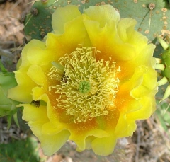 DSCF5839-32