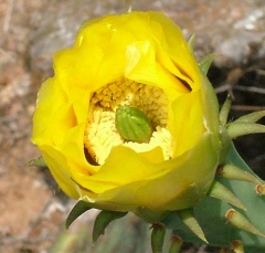 DSCF5840-33