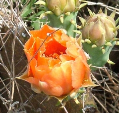 DSCF5841-34