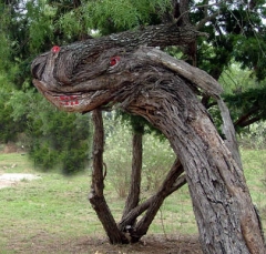 dragon1