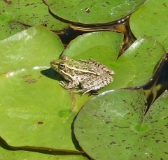 DSCF6145-8