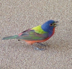 DSCF5870-22