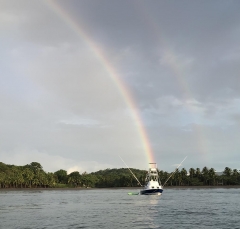 rainbows3875