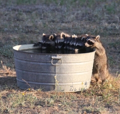 3095