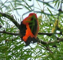 DSCF6228-2