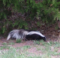 DSCF5857-18