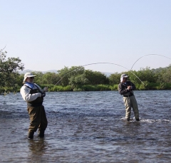 IMG_1463fishweb