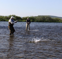 IMG_1468fishweb