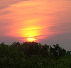 DSCF5871-19