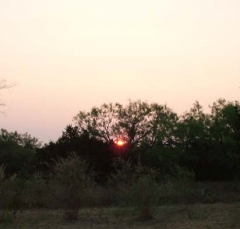 vista7