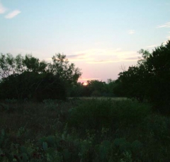 vista8