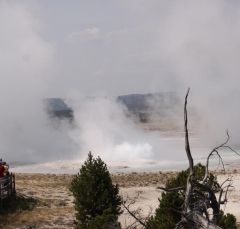 geysers1