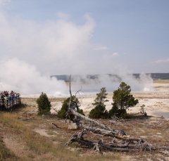 geysers17