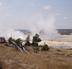 geysers2