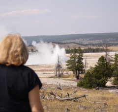 geysers5