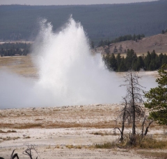 geysers6