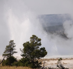 geysers7