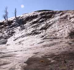mammoth3