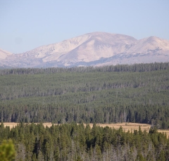 mt1