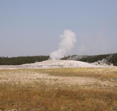 old_faithful_5908