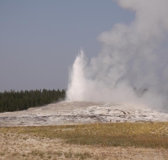 old_faithful_5917